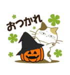 みけ猫みけさん13（個別スタンプ：5）