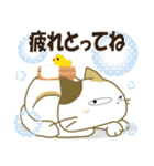みけ猫みけさん13（個別スタンプ：8）