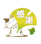 みけ猫みけさん13（個別スタンプ：18）