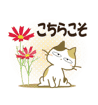 みけ猫みけさん13（個別スタンプ：20）