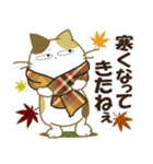 みけ猫みけさん13（個別スタンプ：23）