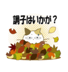 みけ猫みけさん13（個別スタンプ：25）