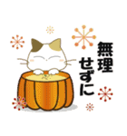 みけ猫みけさん13（個別スタンプ：26）