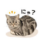 める884（個別スタンプ：4）
