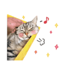 める884（個別スタンプ：6）