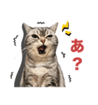 める884（個別スタンプ：11）