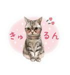 める884（個別スタンプ：12）