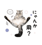 める884（個別スタンプ：13）