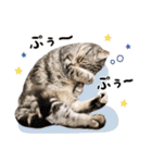める884（個別スタンプ：15）