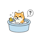 AI_板さんとワンコ（個別スタンプ：23）