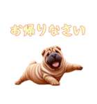 ペキニーズと一緒の日常（個別スタンプ：1）