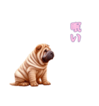 ペキニーズと一緒の日常（個別スタンプ：2）
