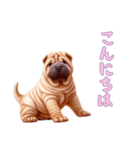 ペキニーズと一緒の日常（個別スタンプ：3）