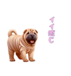 ペキニーズと一緒の日常（個別スタンプ：4）