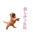 ペキニーズと一緒の日常（個別スタンプ：5）