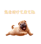 ペキニーズと一緒の日常（個別スタンプ：6）