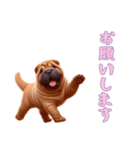 ペキニーズと一緒の日常（個別スタンプ：7）