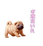 ペキニーズと一緒の日常（個別スタンプ：8）