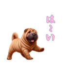ペキニーズと一緒の日常（個別スタンプ：9）
