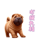 ペキニーズと一緒の日常（個別スタンプ：10）
