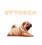 ペキニーズと一緒の日常（個別スタンプ：11）