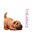 ペキニーズと一緒の日常（個別スタンプ：12）