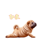 ペキニーズと一緒の日常（個別スタンプ：16）