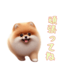 ポメラニアンと一緒の日常4（個別スタンプ：1）
