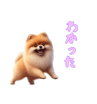 ポメラニアンと一緒の日常4（個別スタンプ：7）