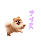 ポメラニアンと一緒の日常4（個別スタンプ：8）