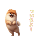 ポメラニアンと一緒の日常4（個別スタンプ：11）