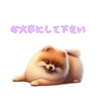 ポメラニアンと一緒の日常4（個別スタンプ：15）