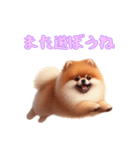 ポメラニアンと一緒の日常4（個別スタンプ：16）