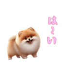 ポメラニアンと一緒の日常3（個別スタンプ：2）
