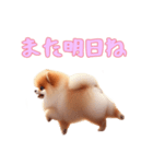 ポメラニアンと一緒の日常3（個別スタンプ：3）