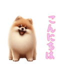 ポメラニアンと一緒の日常3（個別スタンプ：5）