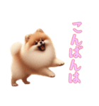 ポメラニアンと一緒の日常3（個別スタンプ：7）