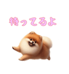 ポメラニアンと一緒の日常3（個別スタンプ：8）