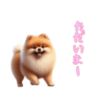 ポメラニアンと一緒の日常3（個別スタンプ：9）