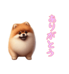 ポメラニアンと一緒の日常3（個別スタンプ：10）