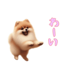 ポメラニアンと一緒の日常3（個別スタンプ：11）