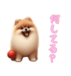 ポメラニアンと一緒の日常3（個別スタンプ：14）