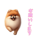ポメラニアンと一緒の日常3（個別スタンプ：15）