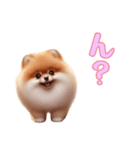 ポメラニアンと一緒の日常3（個別スタンプ：16）