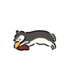 シンプル柴犬たち（in台湾）（個別スタンプ：21）
