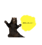 クマさんに代弁させた（個別スタンプ：1）