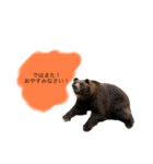 クマさんに代弁させた（個別スタンプ：2）