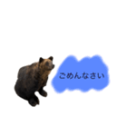 クマさんに代弁させた（個別スタンプ：4）