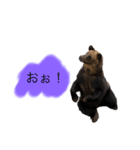 クマさんに代弁させた（個別スタンプ：8）