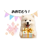 かわいいサモエドの犬スタンプ2(イベント)（個別スタンプ：5）
